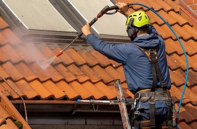 Démoussage et hydrofuge de toiture à Prouilly